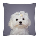 Axyaa Cute Dog Photo Polyester Cushion Cover for Home Sofa Car