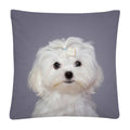 Axyaa Dog Photo Pattern Cushion Cover for Home Sofa Car Decoration