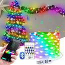 Axyaa RGBIC USB Fairy Lights Bluetooth APP Controlled for Festive Decor