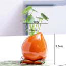 Axyaa Ceramic Persimmon Fruit Flower Pot for Home Decor
