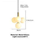 Axyaa Nordic Glass Pendant Light - Modern Gold Black Hanging Lamp for Home Interiors