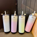 Axyaa Gradient Stainless Steel Thermos Straw Cup 500ML