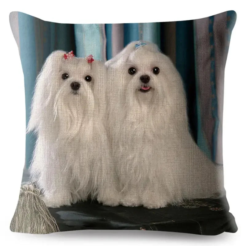 Maltese Dog Pillow Cover by Axyaa - Decorative Cushion Case for Home and Car