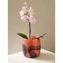 Axyaa Marbled Large Mouth Butterfly Orchid Glass Vase Desktop Decor