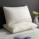Axyaa Butterfly Silk Pillow 48x74cm - Pack of 2
