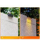 Axyaa Solar Garden Lights: Waterproof Outdoor Wall Lamp for Yard Lighting