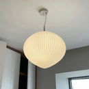 Axyaa Glass LED Pendant Light for Dining Room Bar Decor.