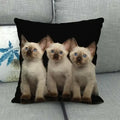 Fat Orange Cat Print Cushion Cover 45x45cm by Axyaa: Animal Pattern Home Decor Pillowcase