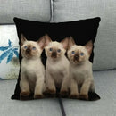 Fat Orange Cat Print Cushion Cover 45x45cm by Axyaa: Animal Pattern Home Decor Pillowcase