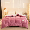 Axyaa Winter Thicken Milk Fleece Blanket | Soft & Cozy Weighted Comforter Core