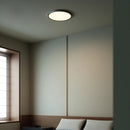 Axyaa Copper Ceiling Light: Modern Nordic Minimalist Design for Bedroom and Dining Room