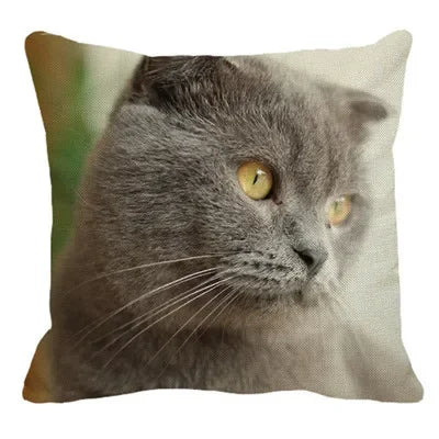 Axyaa British Shorthair Cat Pillow Cover 45X45cm Square Cushion