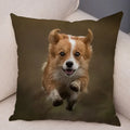 Corgi Pembroke Dog Pattern Pillowcase by Axyaa - Decorative Print for Home Shopping