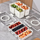 Axya Food Preservation Box with Lid, Handle, Divided Tray - Kitchen Storage Containers