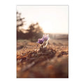 Sunset Grass Reed Art Print Landscape Canvas Wall Art Nordic Posters Axyaa