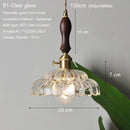 Axyaa Glass Pendant Light Brass Wire Adjustable Hanging Lamp