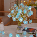 Axyaa LED Rose Fairy Lights for Romantic Bedroom Decor