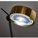 Axyaa Adjustable Floor Lamp for Living Room, Bedroom, Study, and Sofa