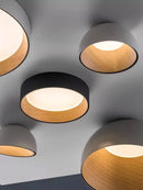 Axyaa Nordic LED Ceiling Lamp for Modern Living Room, Bedroom, Study, and Corridor