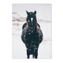 Axyaa Winter Snow Animals Canvas Wall Art Print for Living Room