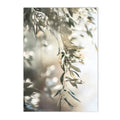 Axyaa Olive Tree Architecture Canvas Print Wall Art Posters for Living Room