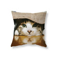 Axyaa Black Cat Cushion Cover for Sofa, Car, Office, Game Chair - Cute & Funny