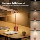 Axyaa Rechargeable LED Desk Lamp for Ambiance Lighting