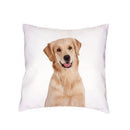 Siberian Husky Dogs Cushion Cover 45X45CM by Axyaa