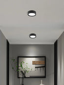 Axyaa LED Downlight Ceiling Lamps: 5W-18W Cob Spot Lights, White Surface Mount Fixtures