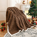 Axyaa Double Layer Taffeta Fleece Christmas Sofa Blanket French Style Bed Throw Blanket