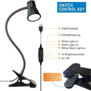 Axyaa LED Desk Lamp with Timed Dimming and Eye Protection