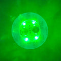 LED Light Coaster for Wine Bottles by Axyaa - Party Decor Illuminated Stickers