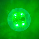 LED Light Coaster for Wine Bottles by Axyaa - Party Decor Illuminated Stickers