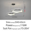 Axyaa Minimalist Art Ceiling Lamp White Black Pendant High-end Indoor Lighting