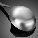Axyaa Stainless Steel Deep Soup Spoon - Long Handle Ramen Rice Scoop