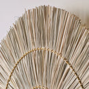 Axyaa Grass Woven LED Circular Wall Lamp for Home Living Room Decor