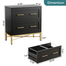 Axyaa 2 Drawer Lateral File Cabinet for Letter/Legal/A4 Size, Modern File Storage
