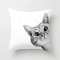 Axyaa Cute Cat Series Pillowcase: Square Office Decorative Cushion Cover