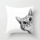 Axyaa Cute Cat Series Pillowcase: Square Office Decorative Cushion Cover
