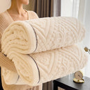 Axyaa Velvet Bed Blanket Luxury Comforter, Thick & Warm, Machine Washable