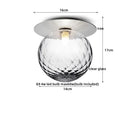 Axyaa Modern Iron Glass LED Ceiling Lamp for Home Lighting