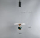 Axyaa Modern Luxury Art Pendant Light LED Chandelier for Home Decoration
