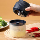 Axyaa Electric Mini Garlic Chopper Stainless Steel Mincer Grinder for Kitchen