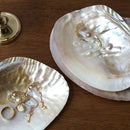 Axya Shell Jewelry Storage Tray, Photography Props & Home Decor Ornaments