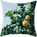 Axyaa Natural Scenery Flowers Cushion Cover Pillowcase Decor for Home Sofa