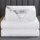 Axyaa Mulberry Silk Quilt Luxury Comforter All Season Double King Queen Duvet