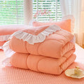 Axyaa Milk Fleece Winter Quilt: Thickened & Warm Comfortable Quilt Core
