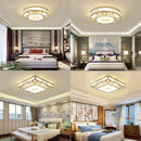 Axyaa LED Ceiling Lamp for Home Indoor Lighting Decor