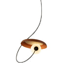 Axyaa Round Iron LED Pendant Light: Modern Ceiling Chandelier for Home Indoor