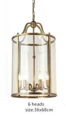 Axyaa Black Copper Cylinder Glass Birdcage Chandelier Pendant Light